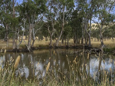 31 High Vista Court, Mansfield