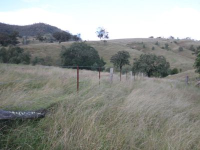 Rouchel Gap Road, Mccullys Gap