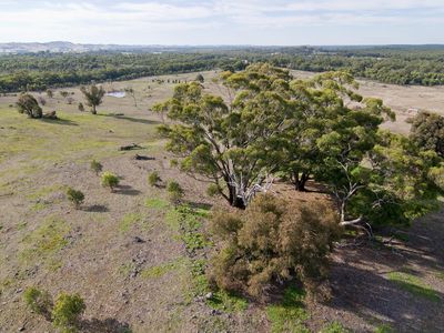 408 Mt Camel-Graytown Road, Redcastle