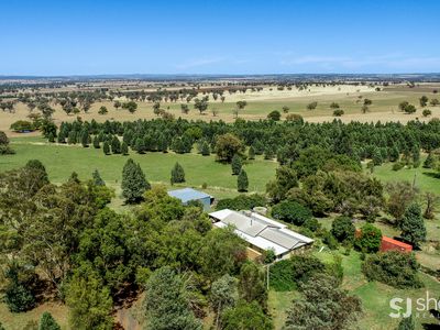 33L Bencubbin Drive, Dubbo