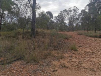 282 Holdings Road, Cloyna