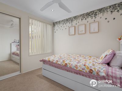 16 Pedder Court, Wattle Grove