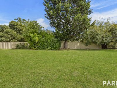 3 Vasey Street, Punchbowl