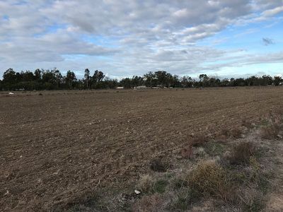 46 Browning Avenue, Murrabit