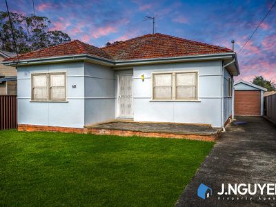 141 Nelson Street, Fairfield Heights