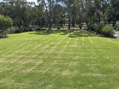 Bradview / 1009 Warrumbungles Way, Coolah