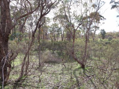 CA 68  CA 68  Twin Rivers Road, Eppalock