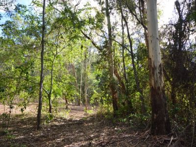 312 Booloumba Creek Road, Cambroon