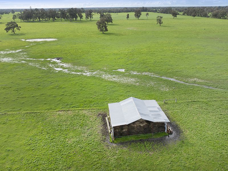 972 CAPEL TUTUNUP ROAD, Tutunup