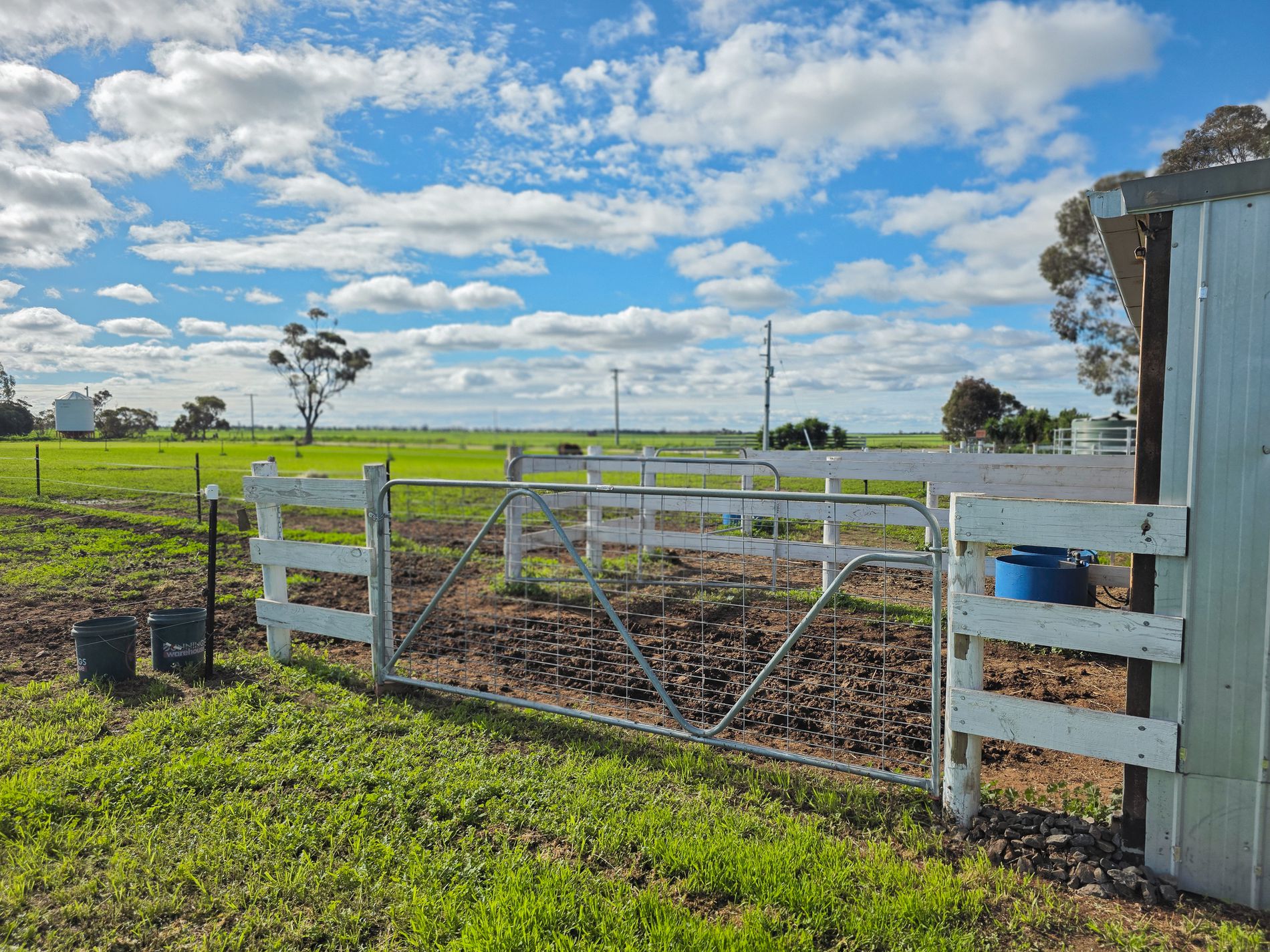 187 Cannie North Road, Cannie