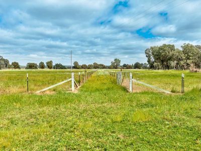 36 Plemings Road, Indigo Valley