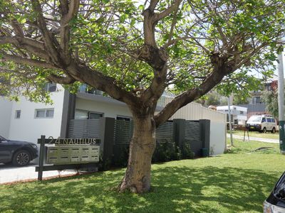 3/24 Nautilus Crescent, Scarborough