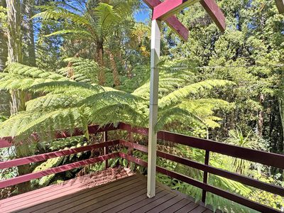 11 Fitzpatrick Place, Chatswood