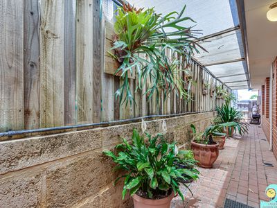 9 Current Street, Yanchep