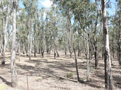 Tocumwal
