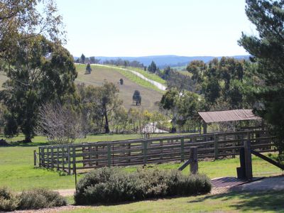 333 Curly Dick Road, Meadow Flat