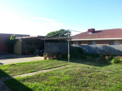 11 Bristol Avenue, Camden Park