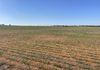 23060 Sturt Highway, Yamba