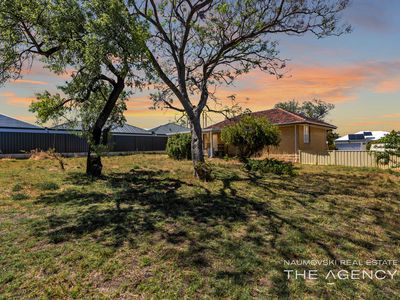 29 Apara Way, Nollamara