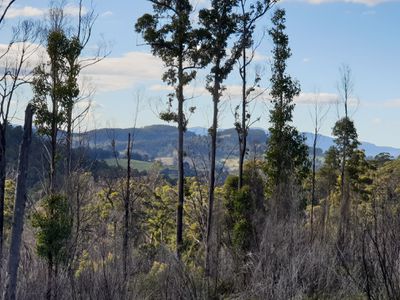 Lot 1 Oigles Road, Geeveston