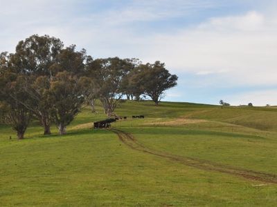Lot 1 Martindale Road, Indigo Valley