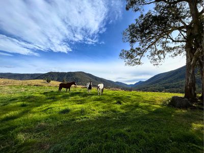 Lot 23 1118 Neringla Road, Braidwood