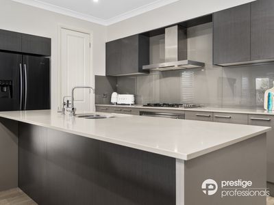 18 Silverleaf Lane, Moorebank