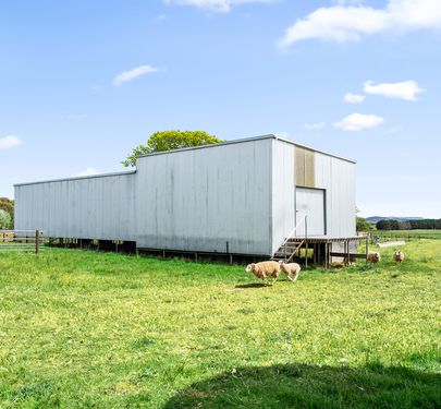 1444 Hoskinstown Road, Hoskinstown