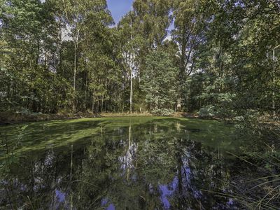 170 Russell Road, Lonnavale