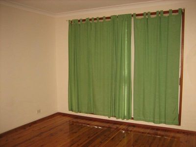 Mount Warrigal