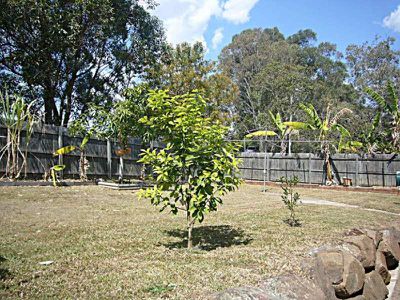 32 Ridgewood Street, Underwood