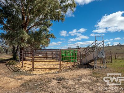 3181 Bonshaw Road, Bonshaw