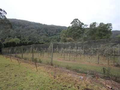200 Green Valley Road, Kangaroo Valley