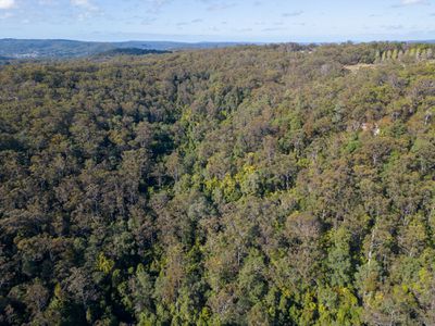 460 DOG TRAP ROAD, Ourimbah