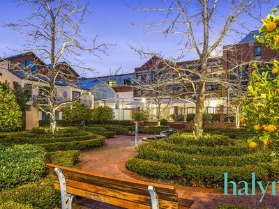 36 / 65 Palmerston Street, Perth