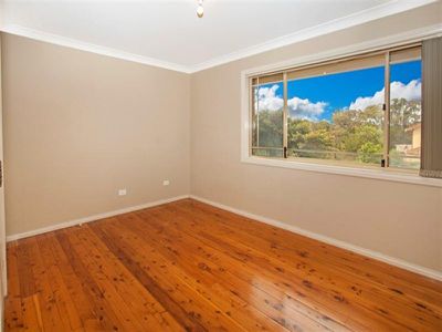 3 / 10 Platypus  Cl, Figtree