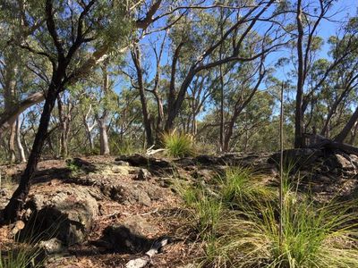 243 Jacquet Road, Braidwood