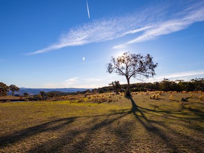 185 Peregrine Road, Billywillinga