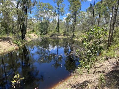 55 Forest View Drive, Kingaroy