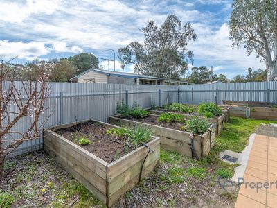 58 Melrose Street, Mount Pleasant