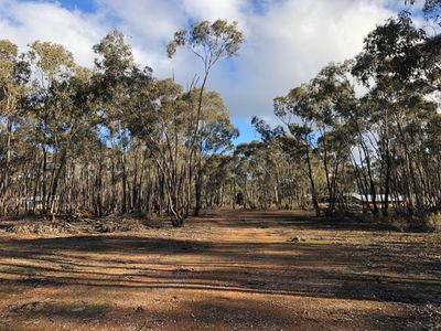 59 Palmer Road, Simson