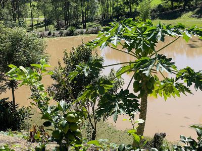 2 Belleridge Road, Nimbin