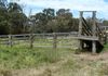 513 Emu Swamp Road, Orange