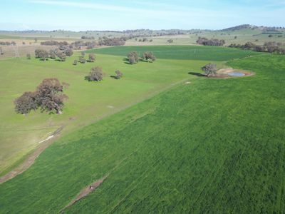 'Willowbank' Urana Road, Jindera