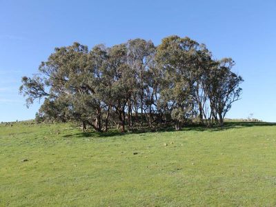 345 Hardings Lane, Tooborac