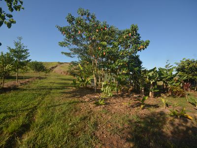 1212 Innisfail Japoon Road, Camp Creek