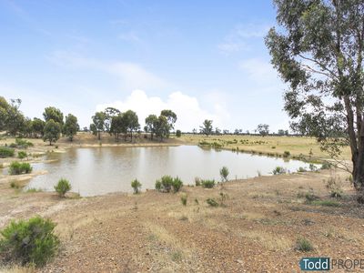 165 Raglus Road, Gobarup