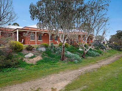 52 Barker Street, Harcourt