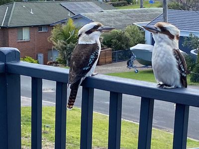 7 Iluka Avenue, Malua Bay