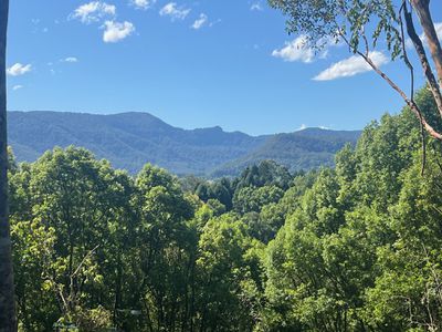 Lot 8, 345 Tuntable Falls Road, Nimbin